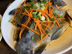 丽江雪山鱼-民食香·腊排骨野生菌美食(木府店)