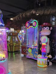 -卡通尼·Safari非洲探索乐园·生日会(金桥国际商业广场店)