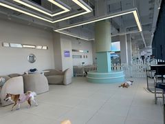 -怪兽屋·羊驼·猫咖·狗咖(俊华广场店)