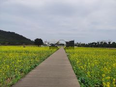 -艾米稻香小镇