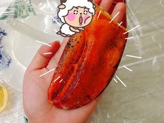 -大湾区中央湿地公园-十九涌