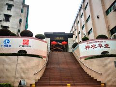 -广州神农草堂中医药博物馆