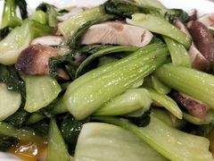 -留芳·文旅古月楼(老街店)