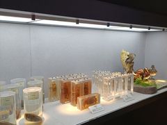 -长江文明馆