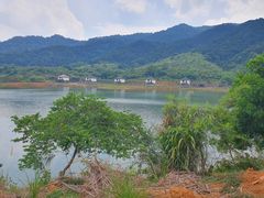 -佛山市三水区大南山森林公园