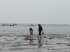 -北海金海湾红树林生态旅游区