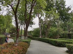 -莲湖公园
