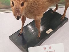 -北京中医药大学-中医药博物馆