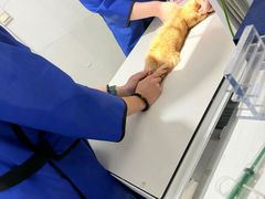 -申普宠物医院·眼科·心内科·影像科(普陀分院)