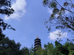 -重庆园博园