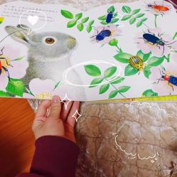 -成都市妇女儿童中心医院(中心院区)