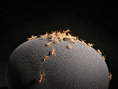 -深圳珠宝博物馆