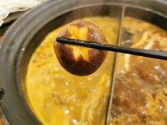 -呷哺呷哺(郑州国贸360餐厅店)