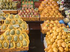 -新鸿港水果市场(三亚新鸿港国际商品交易中心店)