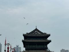 -西安城墙·碑林历史文化景区