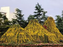 -上海大学(宝山校区)
