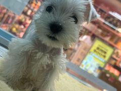-FAELING PETS美天灵宠物(合生汇店)