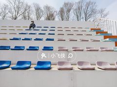-莫子山公园