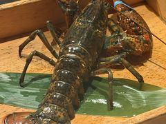 -Ginza Onodera铁板烧(外滩十八号店)