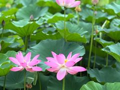 -长广溪湿地公园