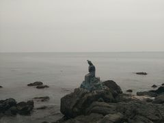 -海云台海滩