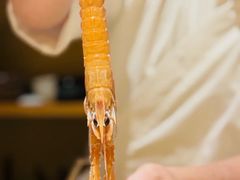 -镹·鱼料理  国产鱼使用店