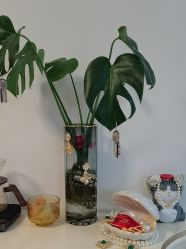 -美肤盾祛痘·问题肌头疗管理中心