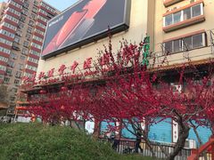 -弘医堂医院-中医科