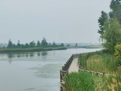 -野鸭湖国家湿地公园