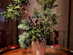 -31号公馆(黄兴广场白果园店)