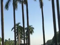 -南国桃园旅游度假区