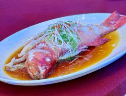 -上海中心宴会厅·婚礼中心