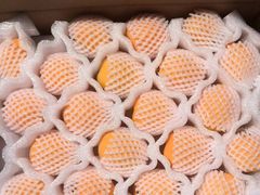 -菜园坝水果市场