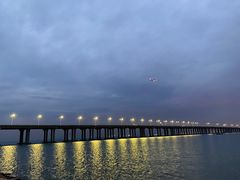 -宝安西湾红树林湿地公园