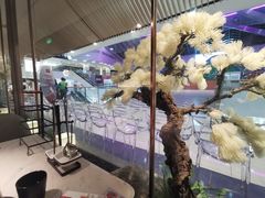 -左庭右院鲜牛肉火锅(浦江欢乐颂店)