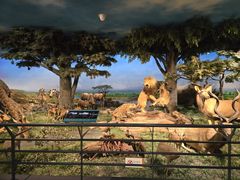 -国家自然博物馆