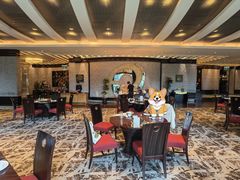 -新天世纪中餐厅