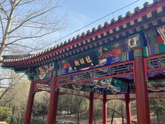 -近春园遗址