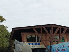 -广东惠东海龟国家级自然保护区