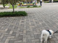 -永定河休闲森林公园