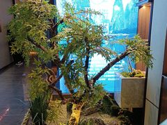 -聆桂烤鸭·金奖烤鸭(静联广场店)