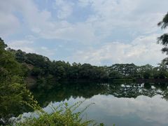 -王借岗森林公园