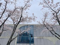 -龙美术馆(西岸馆)