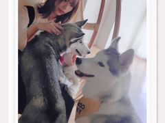 -Husky Go! 哈士奇体验馆·宠物咖啡厅狗咖