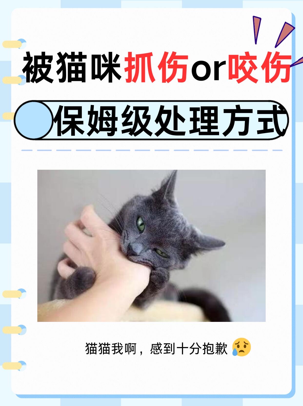 女生梦到被猫咬伤手出血了（女生梦到被猫咬伤手出血了啥意思） 女生梦到被猫咬伤手出血了（女生梦到被猫咬伤手出血了啥意思） 卜算大全