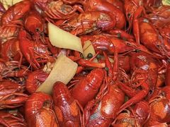 -京悦南门涮羊肉·羊蝎子火锅(田林路店)