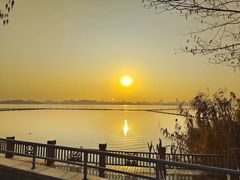 -东湖落雁景区