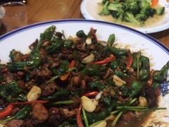 -食鸡公社辣子鸡·潍坊菜·烧烤