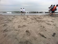 -灌篮高手动画打卡地