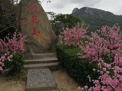 -桃花岛风景旅游区